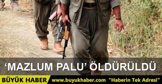 PKK'nın sözde Amanoslar sorumlusu ölü ele geçirildi