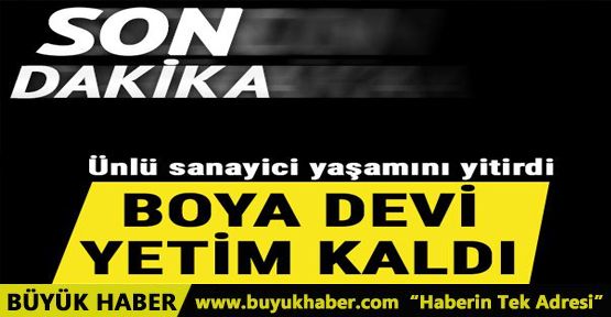 Polisan Boya'nın kurucusu Bitlis hayatını kaybetti 