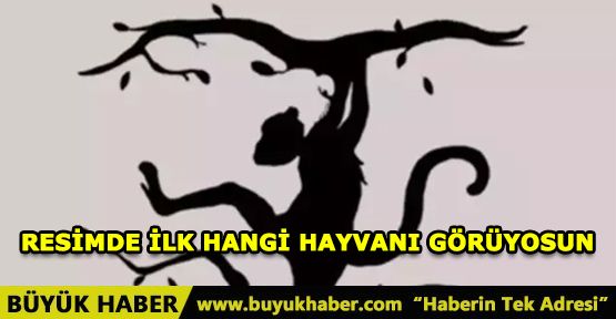 Resimde ilk hangi hayvanı görüyorsun