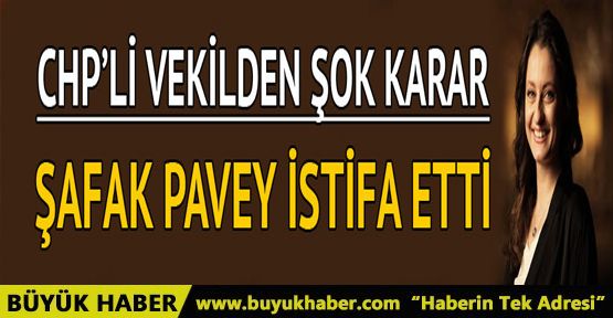 Şafak Pavey istifa etti