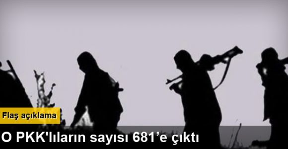 Şırnak'ta 9 PKK'lı teslim oldu