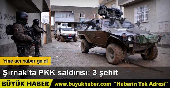 Şırnak’ta düzenlenen saldırıda 3 polis şehit düştü