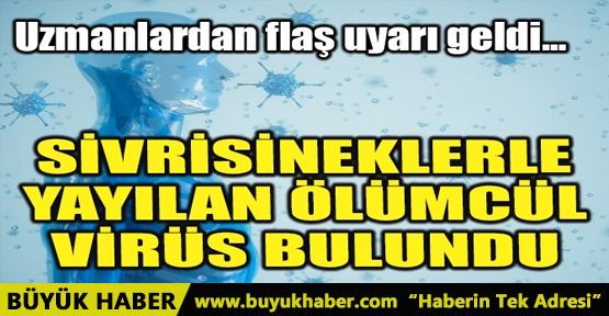 SİVRİSİNEKLERLE YAYILAN ÖLÜMCÜL VİRÜS BULUNDU