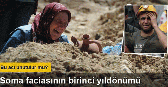 Soma faciasının birinci yılı