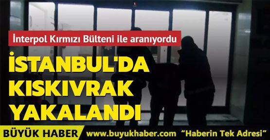 suç örgütü üyesi İstanbul'da yakalandı