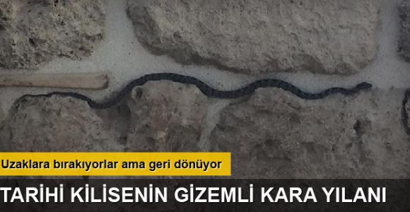 Tarihi kilisenin kara yılanı