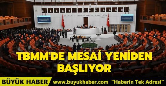 TBMM'de mesai yeniden başlıyor