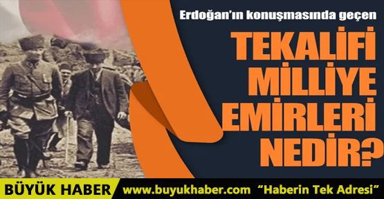 Tekalifi milliye emirleri nedir?