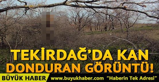 Tekirdağ'da kan donduran görüntü