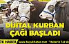 Dijital kurban çağı başladı