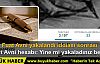 Fuat Avni yakalandı iddiası