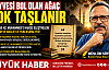 MEYVESİ BOL OLAN AĞAÇ ÇOK TAŞLANIR