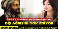 İbn-i Sina diş ağrısına o çiçeği...