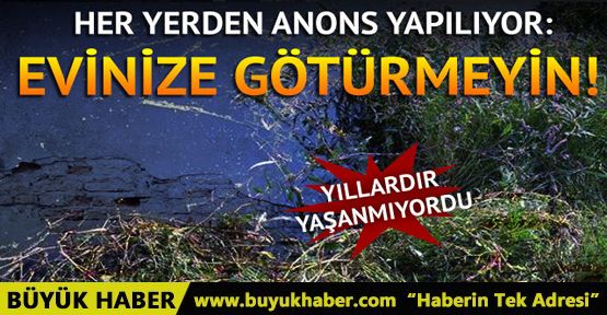 Toplu balık ölümleri harekete geçirdi! Uyarı üstüne uyarı yapılıyor