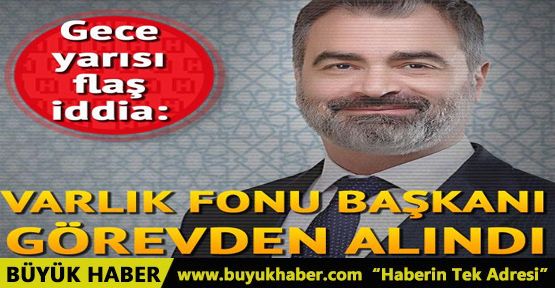 Türkiye Varlık Fonu Başkanı Mehmet Bostan görevden alındı iddiası