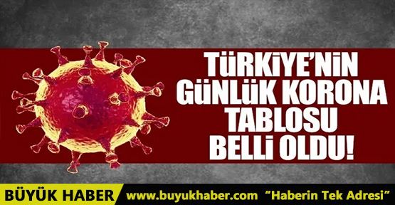 Türkiye'nin günlük koronavirüs verileri belli oldu!