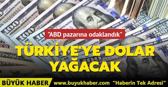 Türkiye'ye dolar yağacak