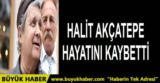 Usta sanatçı Halit Akçatepe hayatını kaybetti