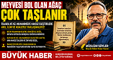 MEYVESİ BOL OLAN AĞAÇ ÇOK TAŞLANIR