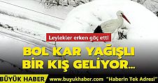 Bol kar yağışlı bir kış geliyor