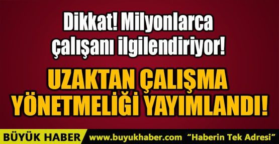 UZAKTAN ÇALIŞMA YÖNETMELİĞİ YAYIMLANDI