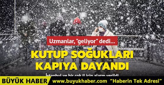 Uzmanlar, 