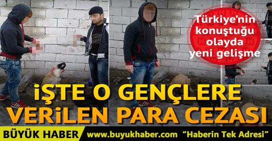 Yavru köpeğin kulağını kesip videoya çektiler