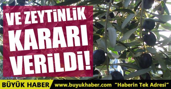 Zeytinliklerle ilgili flaş gelişme
